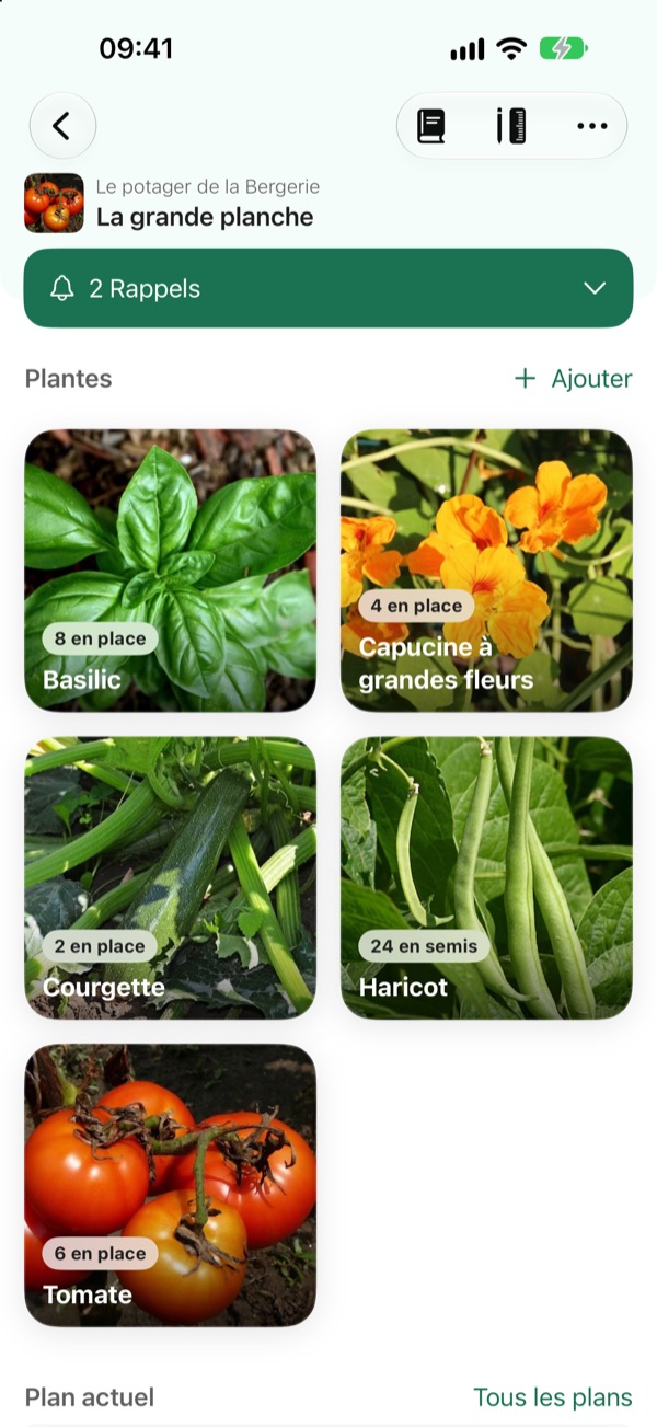 La parcelle « La grande planche » : basilic, capucine, courgette, haricot et tomate, avec le nombre de pieds en place ou en semis.