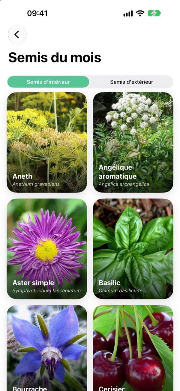 L'écran Semis du mois : aneth, angélique, aster, basilic, bourrache et cerisier à semer en intérieur, avec leur nom latin.