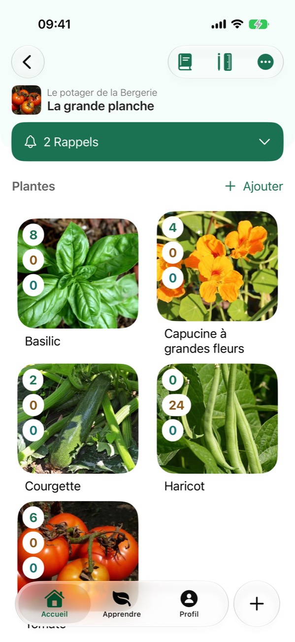 A bed in the app, “La grande planche”, with its plants: basil, nasturtium, courgette, bean and tomato.