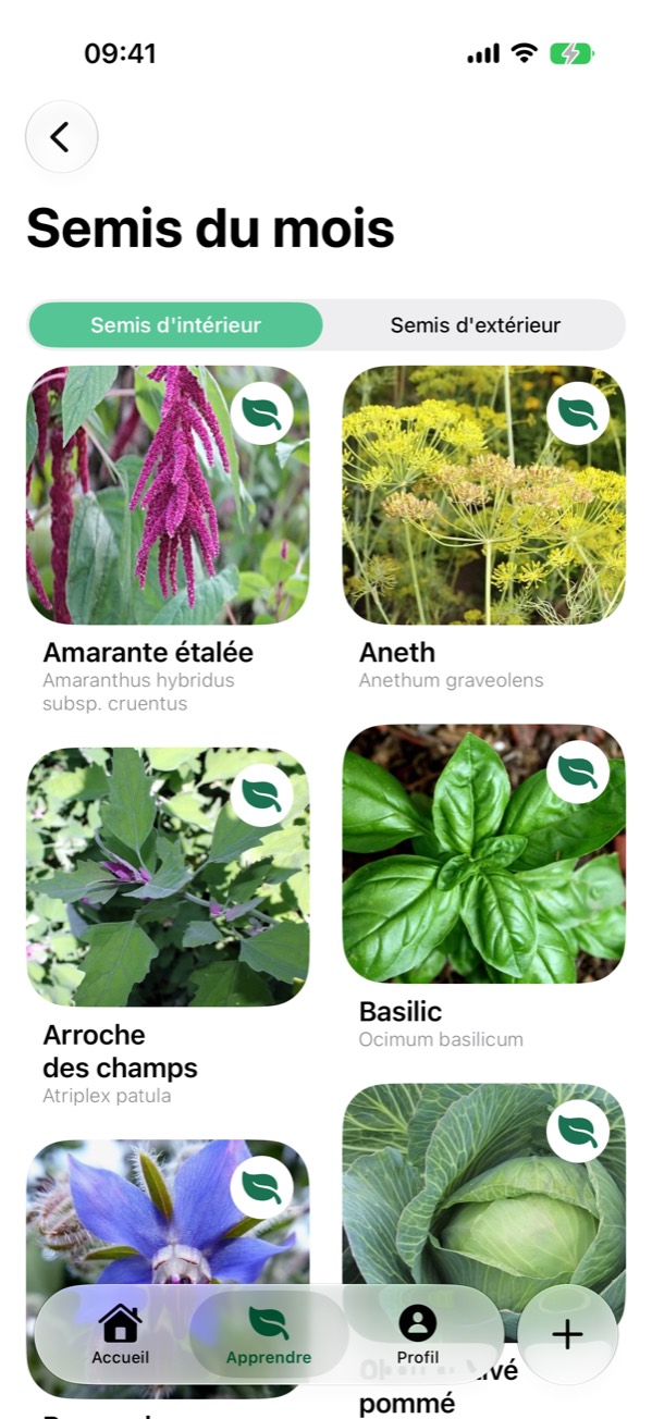 The month's sowings screen: the plants to sow indoors this month, with their Latin names.